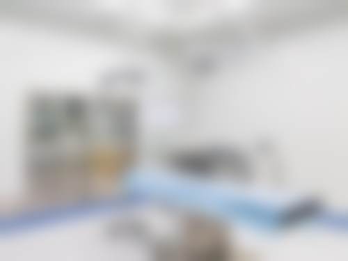 朱方方擅长项目列表