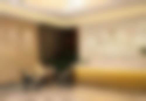 罗明生技术水平评价