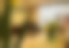 温州鹿城恒美医疗美容门诊部基本信息