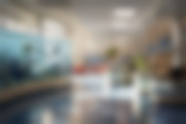 石楷擅长项目列表