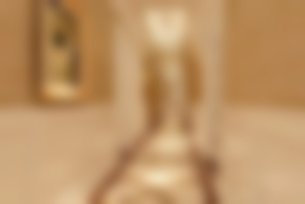 刘骏擅长项目列表