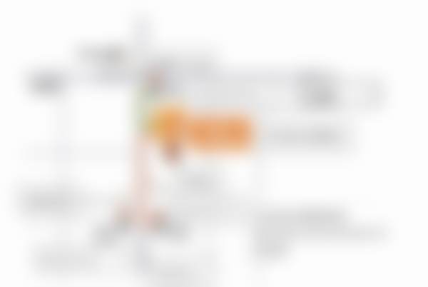 全恩福（大田院营养师）技术水平评价