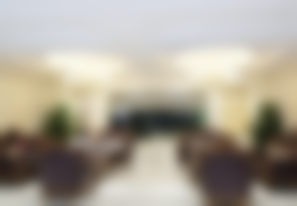 林素娟擅长项目列表