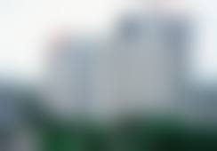 熊心猜荣誉与学术任职