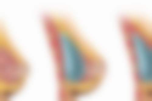 长沙贝美医疗美容怎么预约？