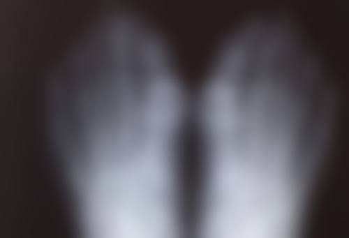 洛阳班爱荣医疗美容诊所地址及到院路线