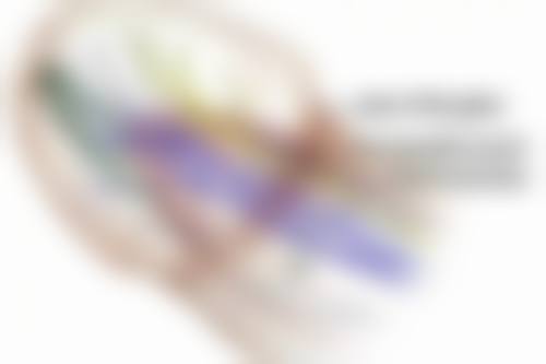 白汀恒技术水平评价