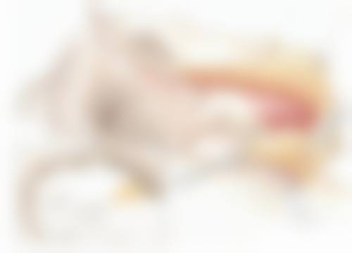 石家庄倩仕医疗美容诊所实例参考