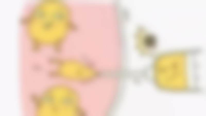 张育军擅长项目列表