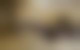 曾庆擅长项目列表