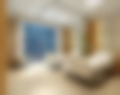 吴凡擅长项目列表