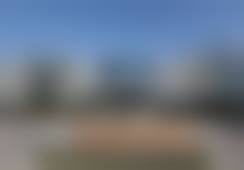 向小燕擅长项目列表