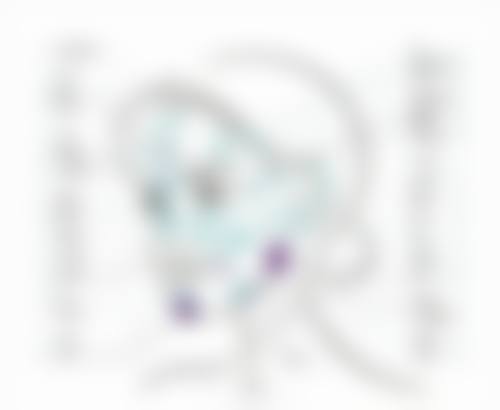 张光正荣誉