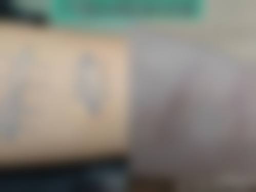 何秀擅长项目列表
