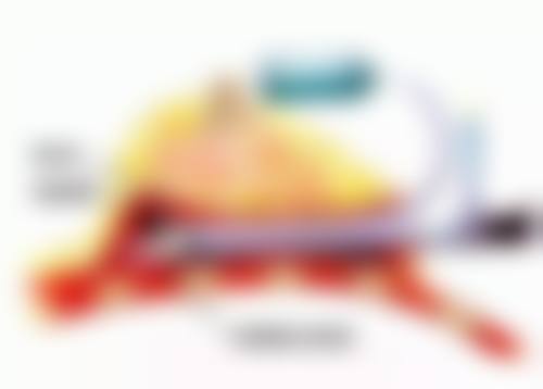 成都欧诺森整形医院擅长项目