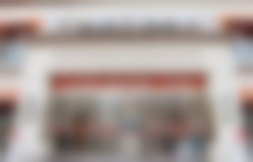蔡连朋擅长项目列表