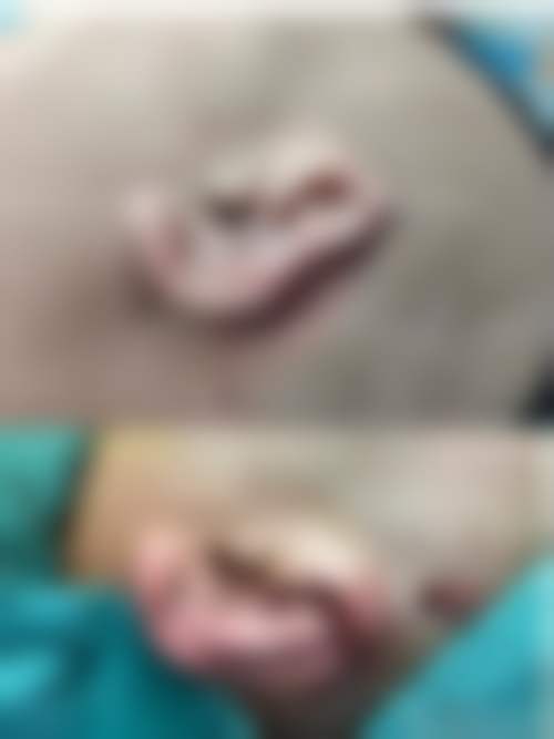 北京唐人美天医疗美容门诊部怎么预约挂号?
