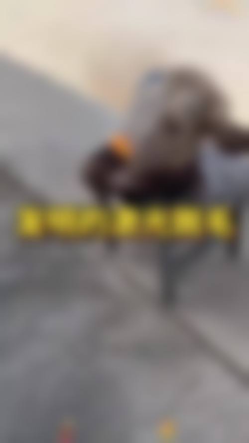 张新合预约方式及价格表
