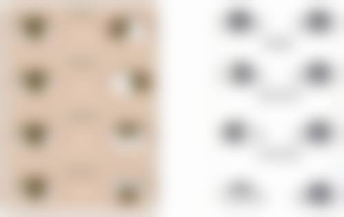 优惠活动详情