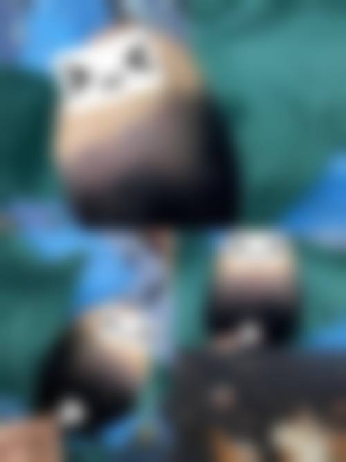 医院资质与实力:正规与保护