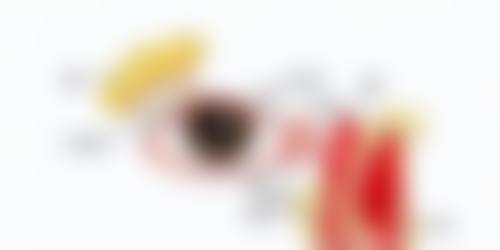 骨干医生团队与医生介绍