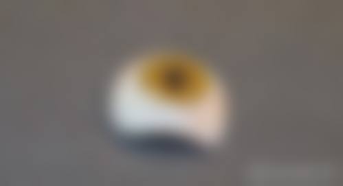 优惠活动与价格参考