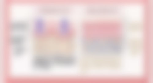 服务流程与客户保护体系