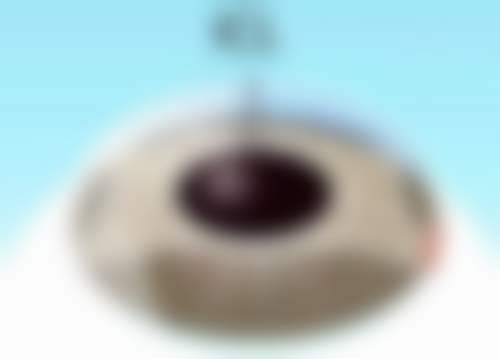 服务流程与患者保护
