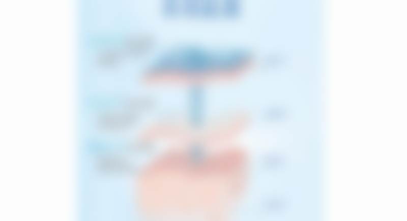 价格参考:透明合理,因人而异