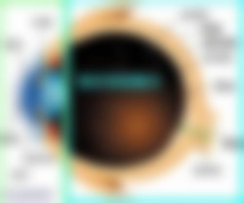常见问题解答(FAQ)
