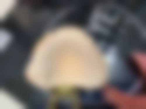 FAQ:常见疑问解答