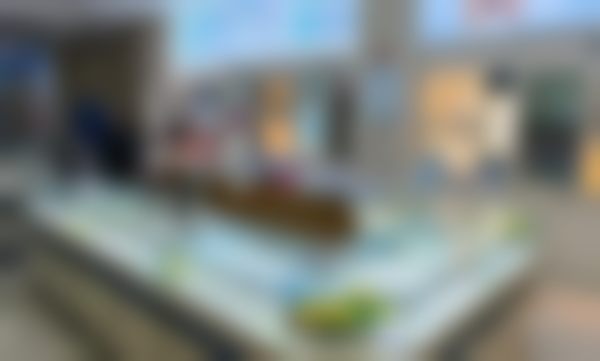 常见问题解答（FAQ）