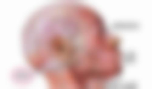 河北工程大学临床医学校整形美容中 心怎么预约挂号?
