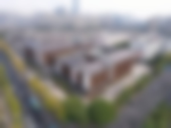 擅长项目详解