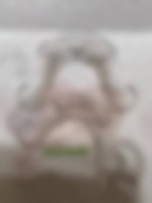 常见问题解答(FAQ)