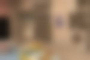 擅长项目详解